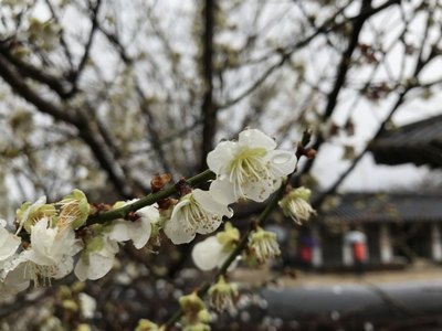 刀剑神域小说下载