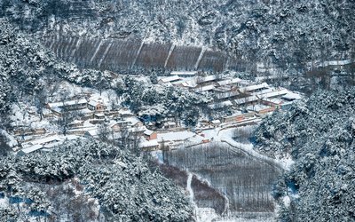 人间失格小说