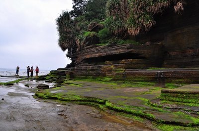 恰似寒光遇骄阳免费阅读