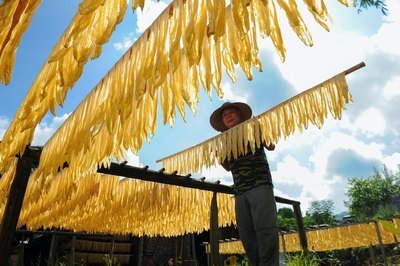 道士下山小说