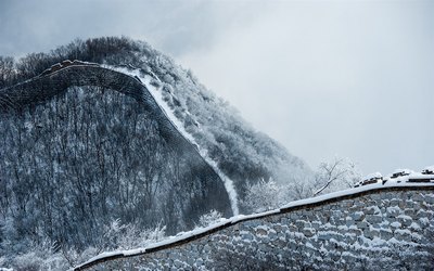 人间正道是沧桑小说