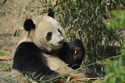 修仙小说排行