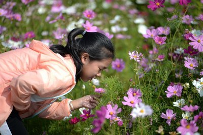 恋男乱女全文阅读