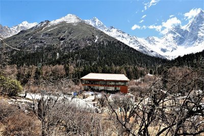 山雨欲来风满楼小说