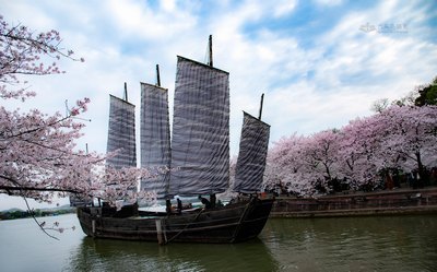 末世行道日本动漫