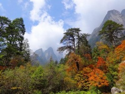 神玄巅峰日本动漫