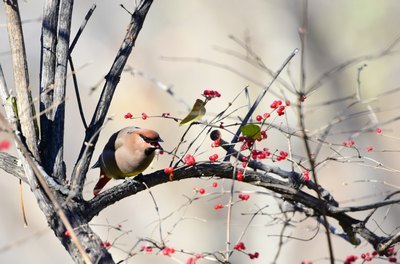 奸尸小说