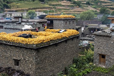 少年阿兵宾小说阅读