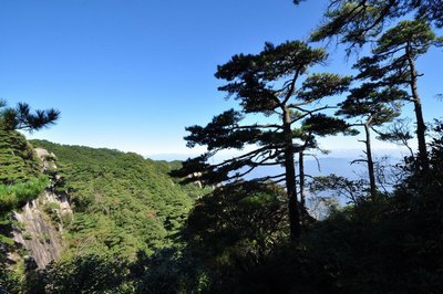 阴阳道典日本动漫