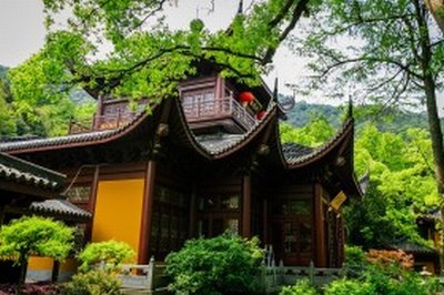 迟子建小说