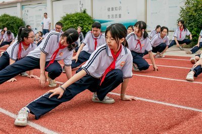 小说极品白领