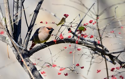 女虐男小说