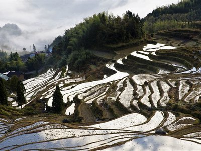 了不起的盖茨比在线阅读