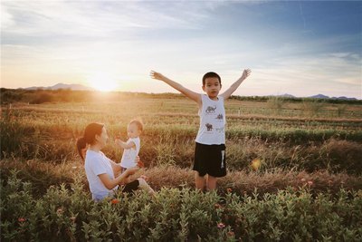 伯爵与妖精小说