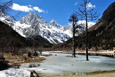 岳飞传小说