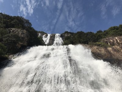 天师执位小说