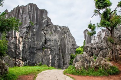 和嫂子同居的日子小说