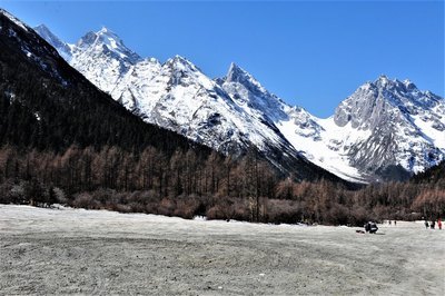 岌岌可危小说