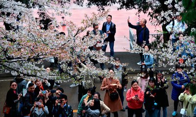 凤舞君临渊神医凰后全文免费阅读